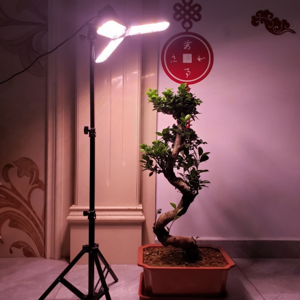 電球スタンド 2M、E27 ACソケット付き傘型ランプホルダ - Photography Umbrella Lights のレビューと価格