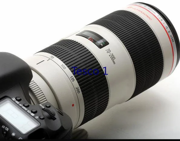 キヤノンEF70-200mm 70-200mm 1:2.8  - Photography Term のレビューと価格